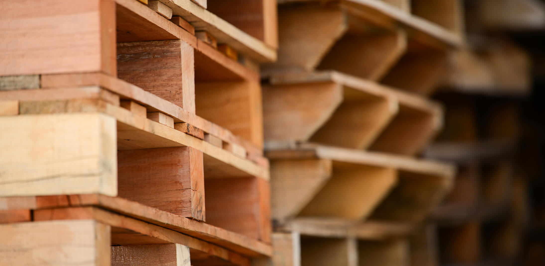What do you need to know before importing wood products into Canada?