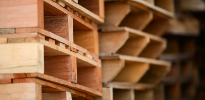 Que devez-vous savoir avant d’importer des produits en bois au Canada?